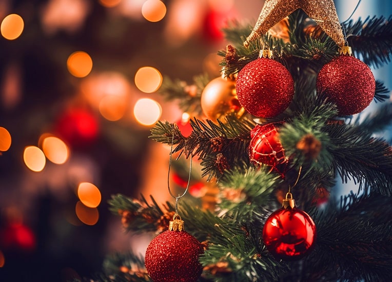 Christmas at The Castle Bromwich Hall Hotel